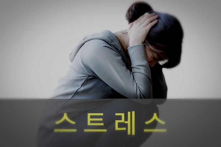  현대인의 질병 스트레스, 증상, 해소법, 자가진단법
