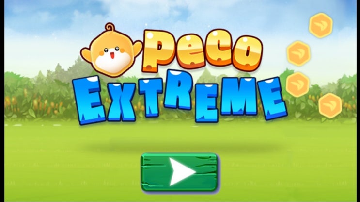 페이코인게임 / PECO EXTREME / 페코익스트림