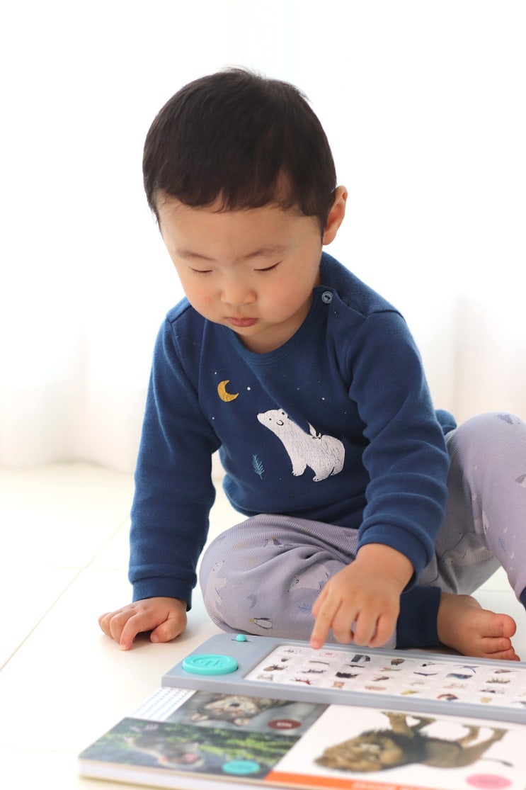  아기책 돌아기전집 두두스토리 자연관찰로 생동감있는 책육아!