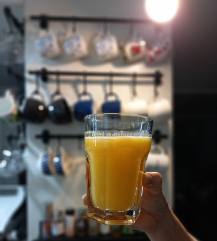 생과일 오렌지 주스 만들기(ft.브레빌 착즙기 800cp) / 오렌지 효능 및 영양성분, 칼로리