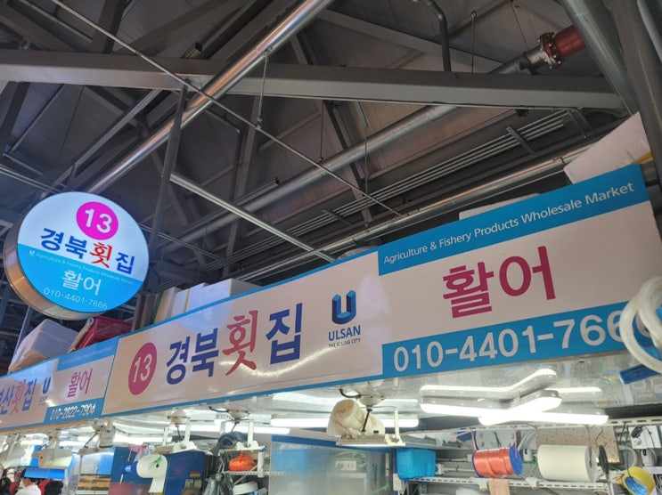  울산 삼산 농수산물시장 회센터 경북횟집