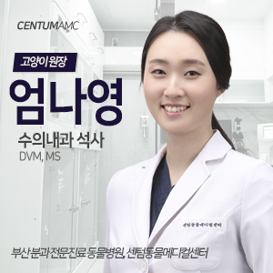  CentumAMC '엄나영' 원장 (수의내과학 석사) / 수영점 고양이 내과
