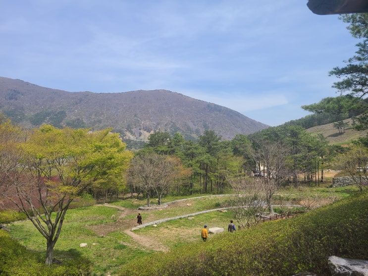 화순 수만리생태숲공원 운동하기 좋아요!