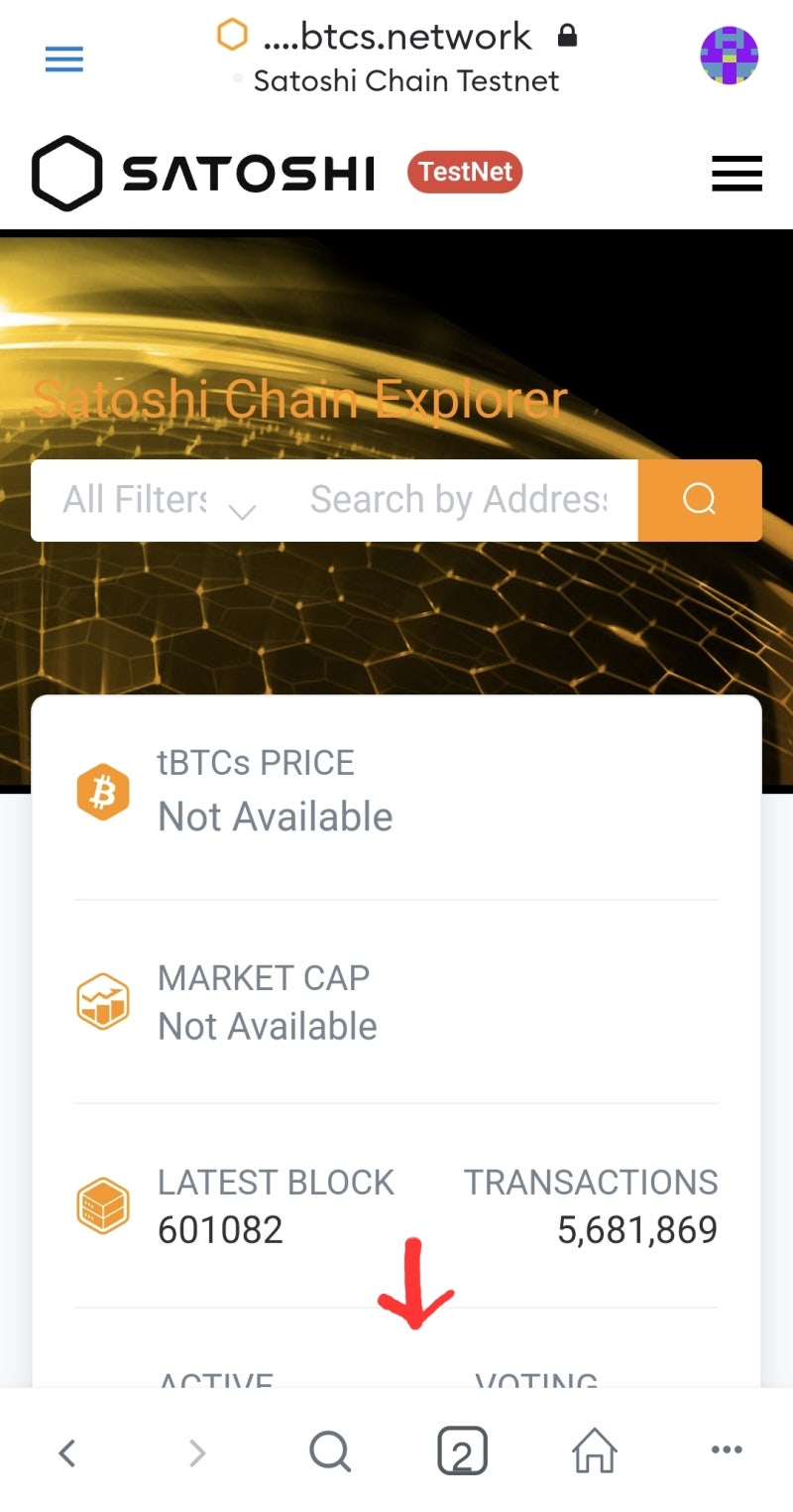 비트코인 사토시(코인)/ 사토시 테스트넷 연결과 지갑 주소 바인딩, 메타마스크 활용법 : 네이버 블로그