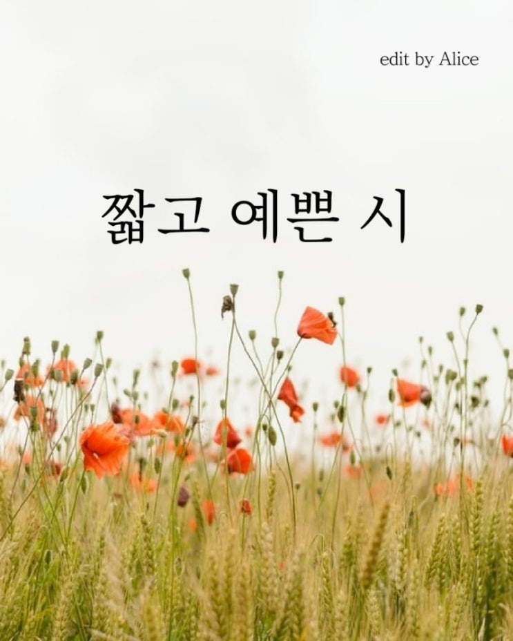  [짧고 예쁜 시]