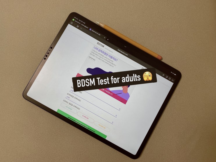  BDSM 테스트 성적 성향별 종류와 취향은?