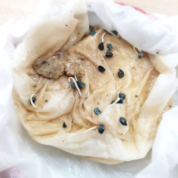  이틀전 비왔고 대파싹이 떴다 (대파    발아    성공)