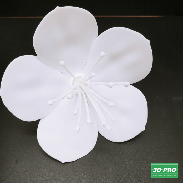 3D프린팅으로 꽃잎 모양 출력물제작/3D 프린터 시제품 출력/대학생 졸업작품/ SLA 레이저 방식/ABS Like 레진 소재/ 쓰리디프로/3D프로/3DPRO 