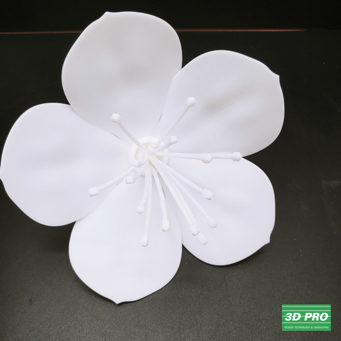  3D프린팅으로 꽃잎 모양 출력물제작/3D 프린터 시제품 출력/대학생 졸업작품/ SLA 레이저 방식/ABS Like 레진 소재/ 쓰리디프로/3D프로/3DPRO 