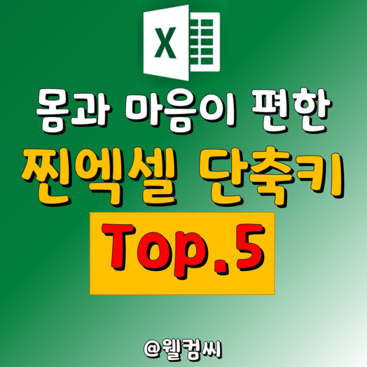 엑셀 단축키 지정 모르면 팔다리가 고생하는 Top 5!