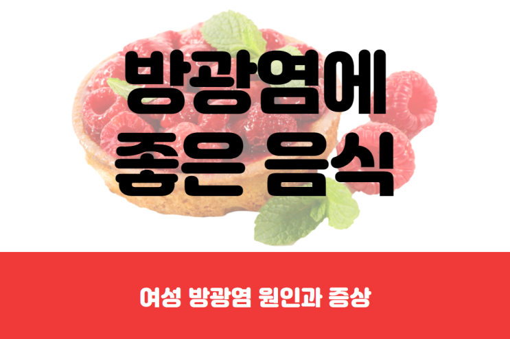  여성 방광염 증상과 원인, 여자 방광염에 좋은 음식