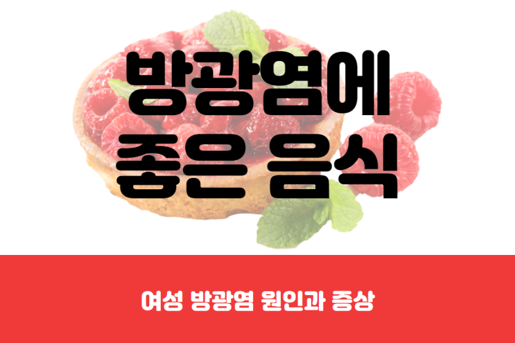 여성 방광염 증상과 원인, 여자 방광염에 좋은 음식