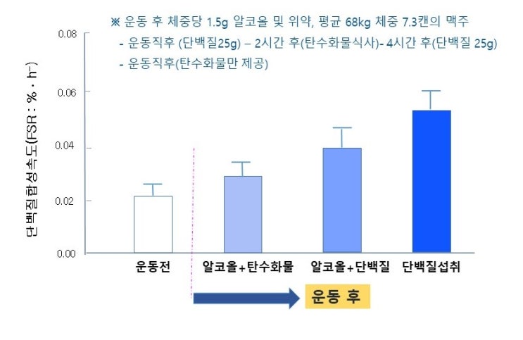  술(음주)과 근손실, 알코올, 근단백질합성