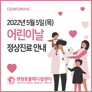  2022년 어린이날(5월 5일 목요일) 부처님오신날(8일 일요일) 정상진료 안내 (부산 공휴일 동물병원, 센텀동물메디컬센터 수영점 연산점)