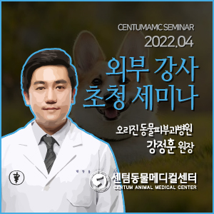 외부 강사 초청 세미나 예정 / 오리진 동물피부과병원 강정훈 원장 