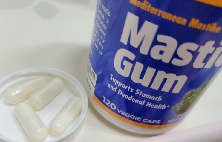  자로우 매스틱검 위건강엔 MASTICGUM