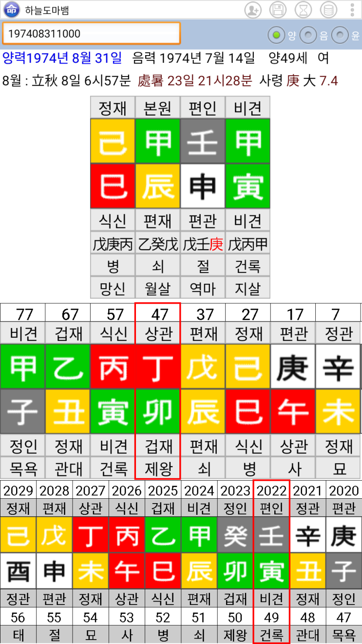  임은정 사주 - 검사