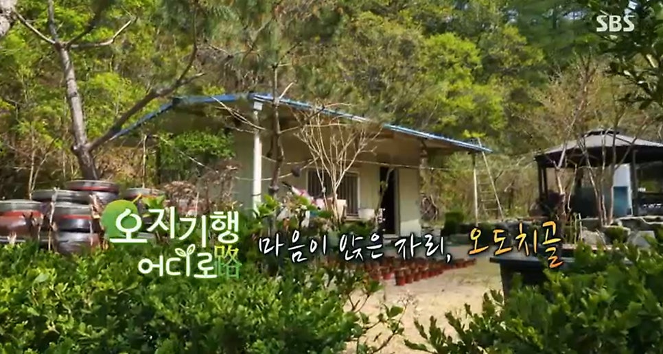 오도치골 사진 1