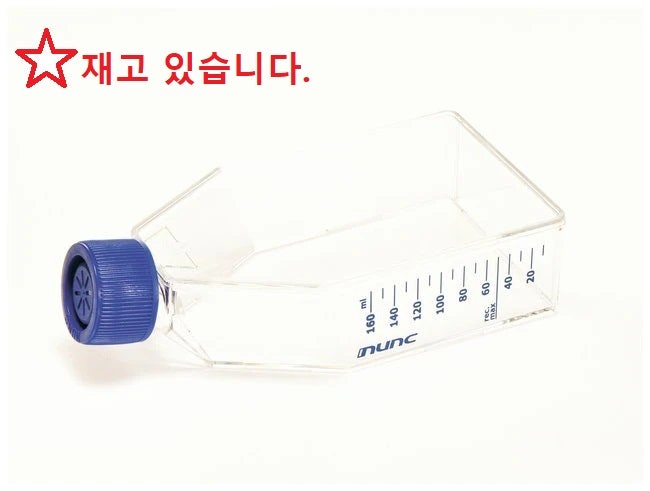 Thermo Scientific Nunc EasYFlask Cell Culture Flask, 재고 보유!!!!