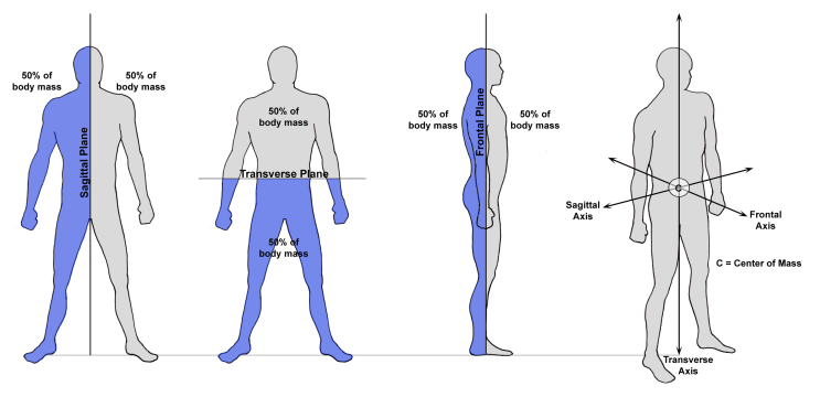 뉴만 3편 운동형상학(kinematic) 뼈운동형상학 과 관절운동형상학