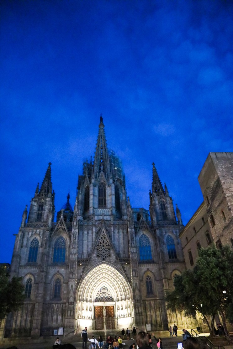 바르셀로나 여행/고딕지구 야경투어(2)/페란거리, 바르셀로나 대성당, 비스베거리