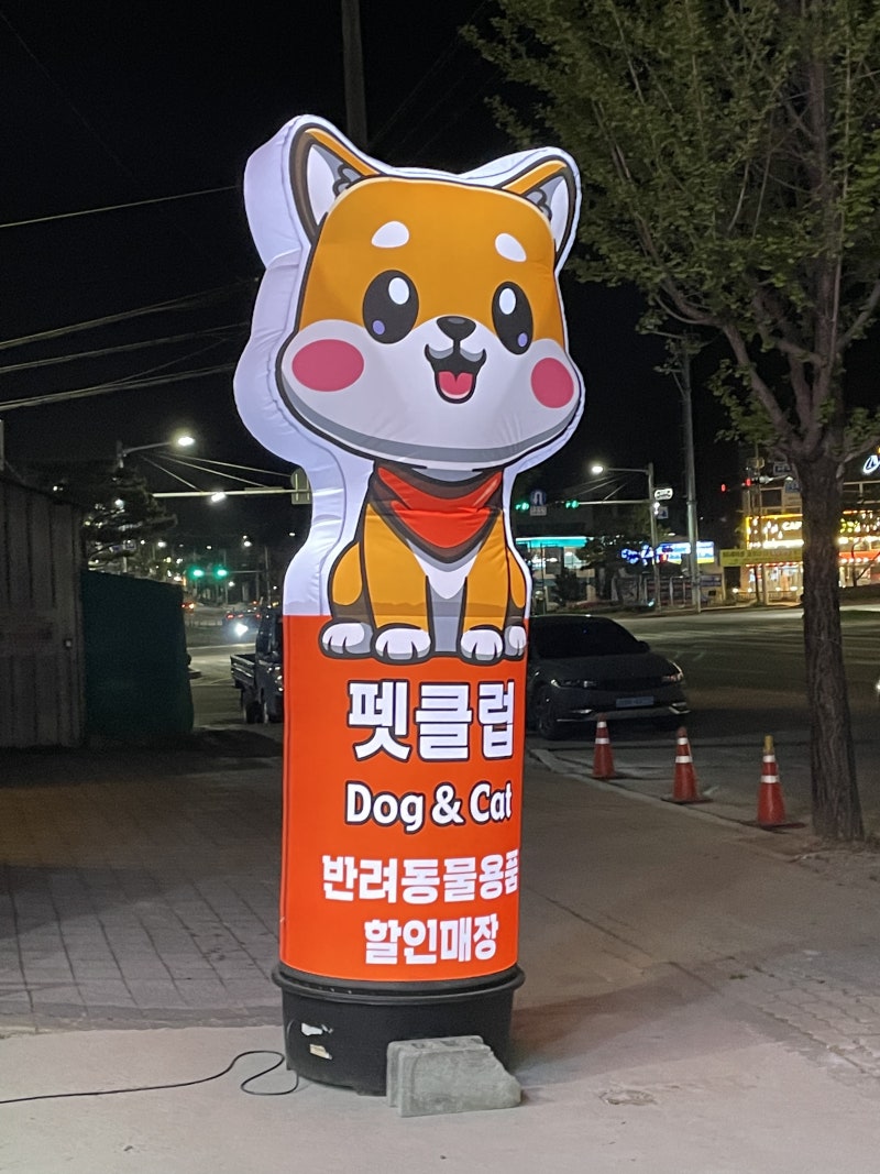 사진 2