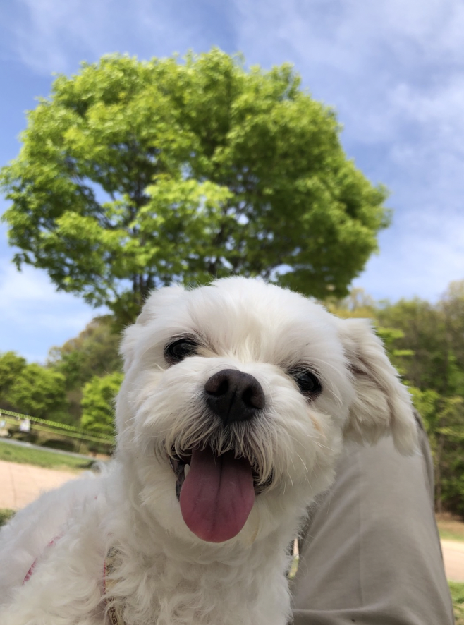  [서현/율동공원]최애들이랑 함께하는 세번째 나들이