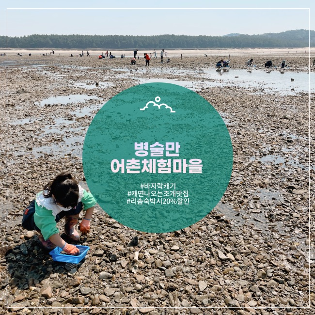  [태안] 캐는 족족 나오는 바지락 조개캐기 갯벌체험 병술만 어촌 체험 마을(+준비물 팁)
