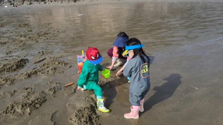  태안 해루질 펜션 비치빌펜션 갯벌체험 무한 바베큐 조식 까지