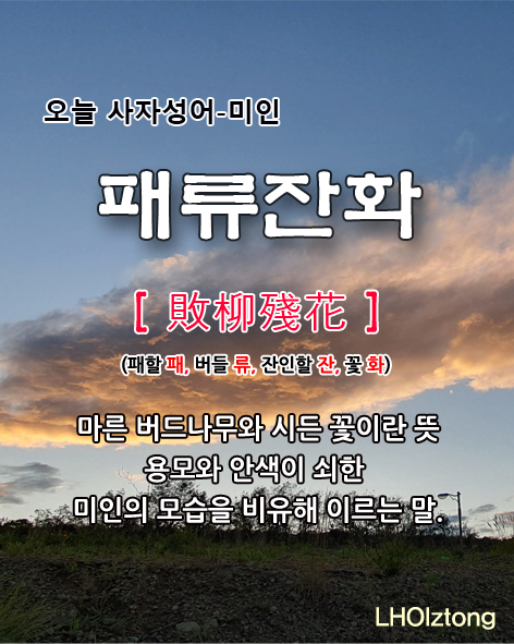  [848] 오늘 사자성어 패류잔화(敗柳殘花)의 뜻은?
