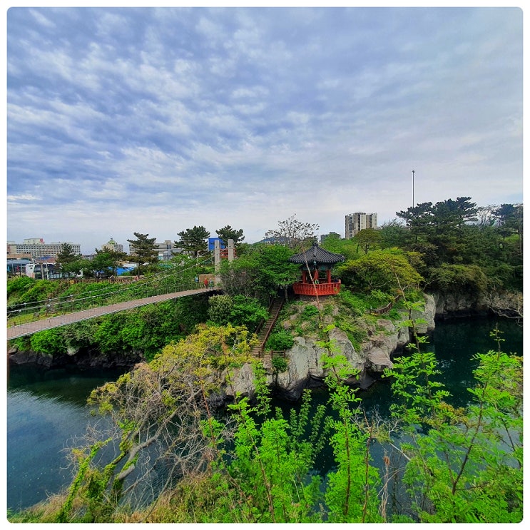  제주도 애견 동반 가능한 제주 무료관광지 용연구름다리, 용연계곡
