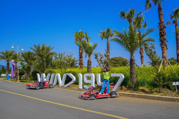 제주 카트 체험 제주도 윈드1947 서귀포 놀거리 제주 카트 체험 제주도 윈드1947 서귀포 놀거리