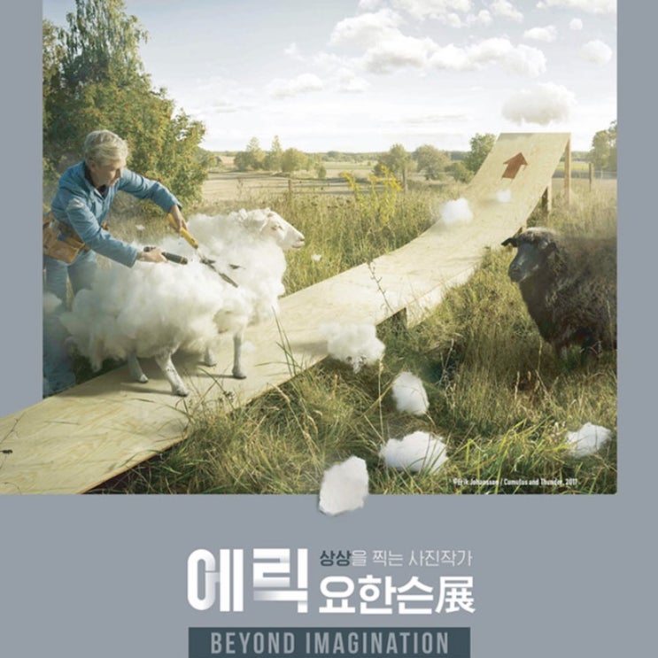  서울전시회추천 에릭 요한슨 사진전 63빌딩 미술관데이트