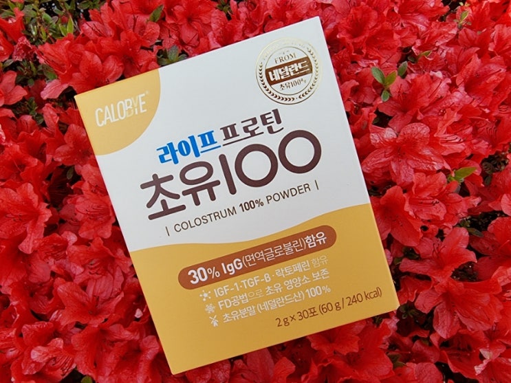  단백질영양제 칼로바이 라이프 프로틴 초유100 후기