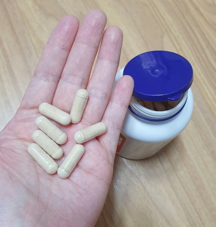  나우푸드 실리마린 밀크씨슬 추출물