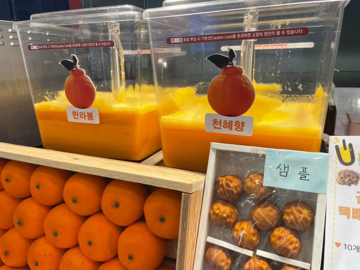  망포 판타지움맛집 제주스 제주향기 호두과자와 천혜향 한라봉 생과일주스