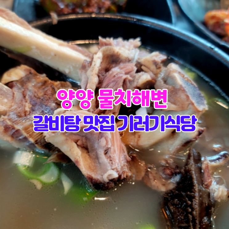 양양 물치해변 갈비탕 맛집 기러기식당 양양 물치해변 갈비탕 맛집 기러기식당