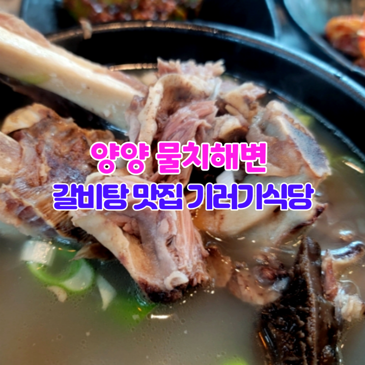 양양 물치해변 갈비탕 맛집  기러기식당