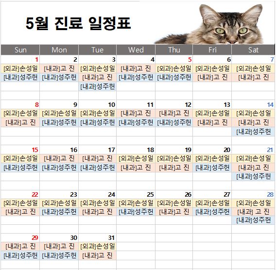  경기광주동물병원 송정동물의료센터 22년 5월 주치의 진료표