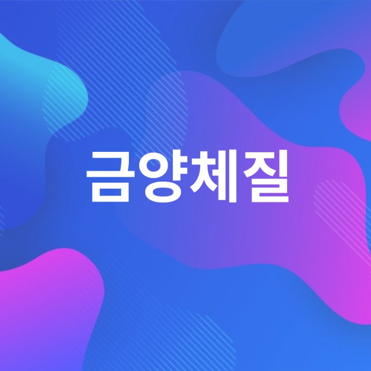  금양체질음식