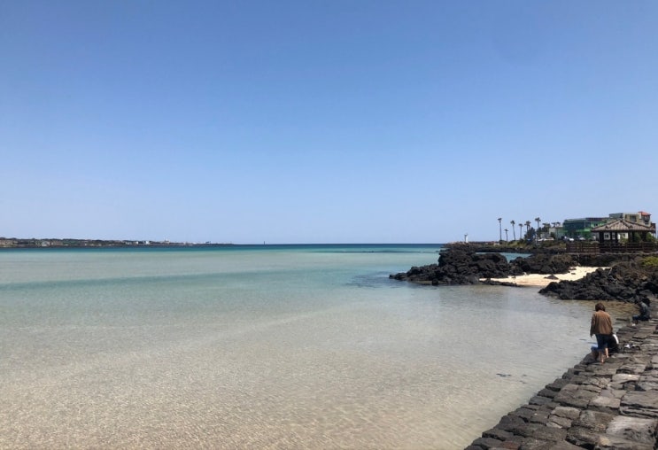 [제주도 가볼만한 곳/서귀포] 2박3일ㆍ자유여행ㆍ렌트카ㆍ쇠소깍ㆍ성산일출봉ㆍ섭지코지ㆍ상효원ㆍ표선해수욕장ㆍ동문시장 (2)