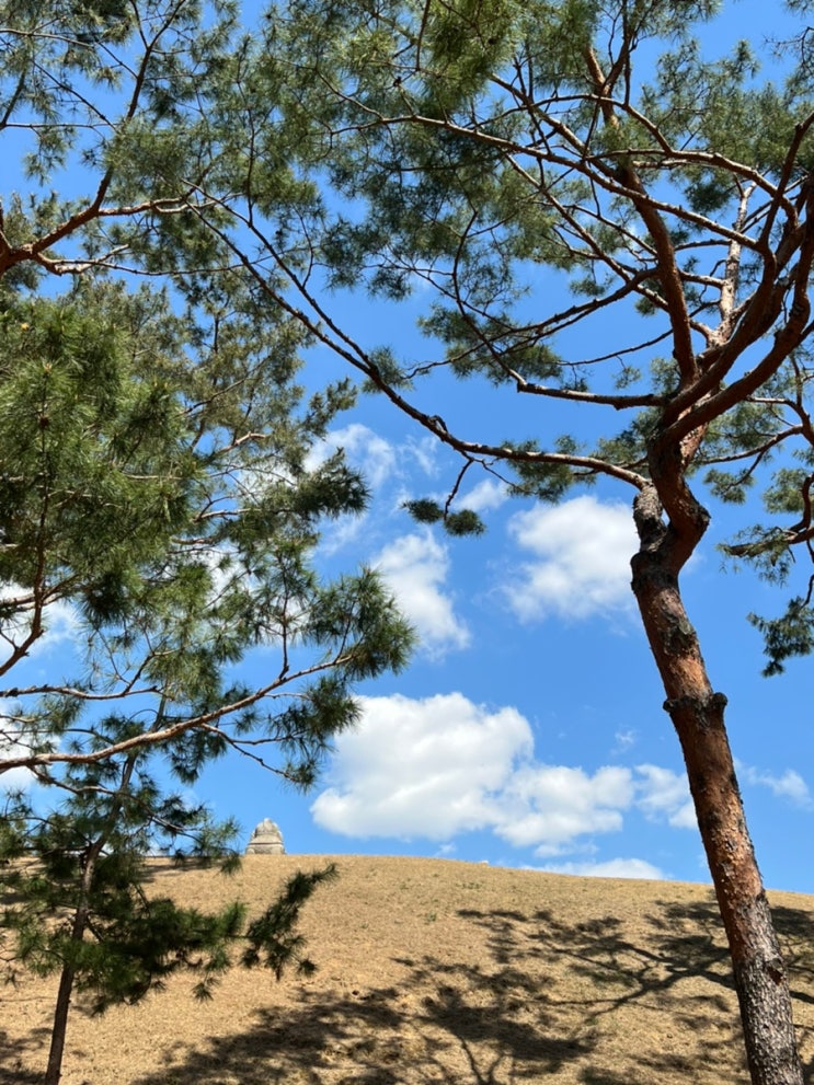  서울 직장인 산책길 추천 I 세계문화유산 선릉과 정릉