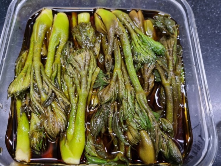  자연산두릅 두릅짱아치만들기 두릅장아찌레시피 두릅보관법