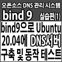  bind9으로 Ubuntu 20.04 LTS에 DNS 서버 구축 및 동작 테스트하기