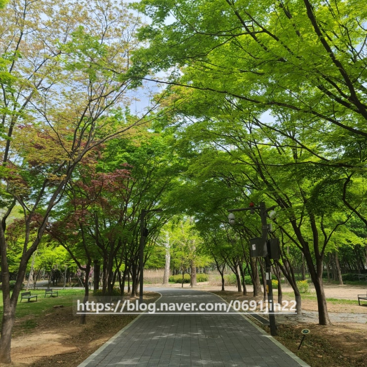  [양재시민의 숲] 피크닉 공원/ 가족 나들이 장소추천/ 알찬 이용 방법/ 양재 꽃시장