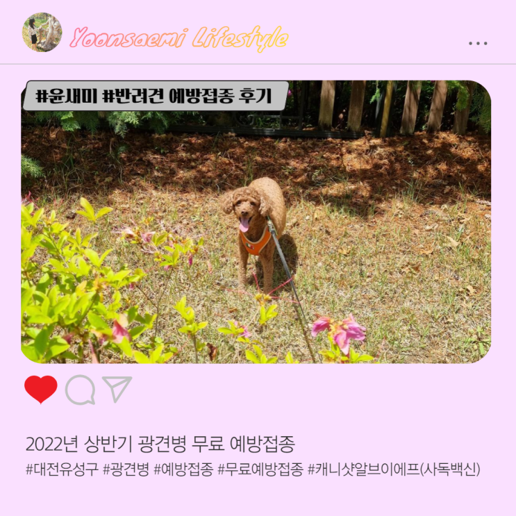  2022년 대전 유성구 ; 광견병 무료예방접종