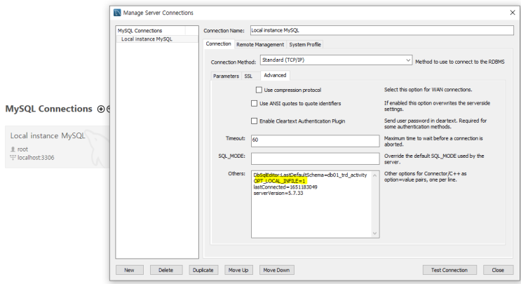 MySQL Workbench, OPT Local Infile 설정, 주석컬러 변경