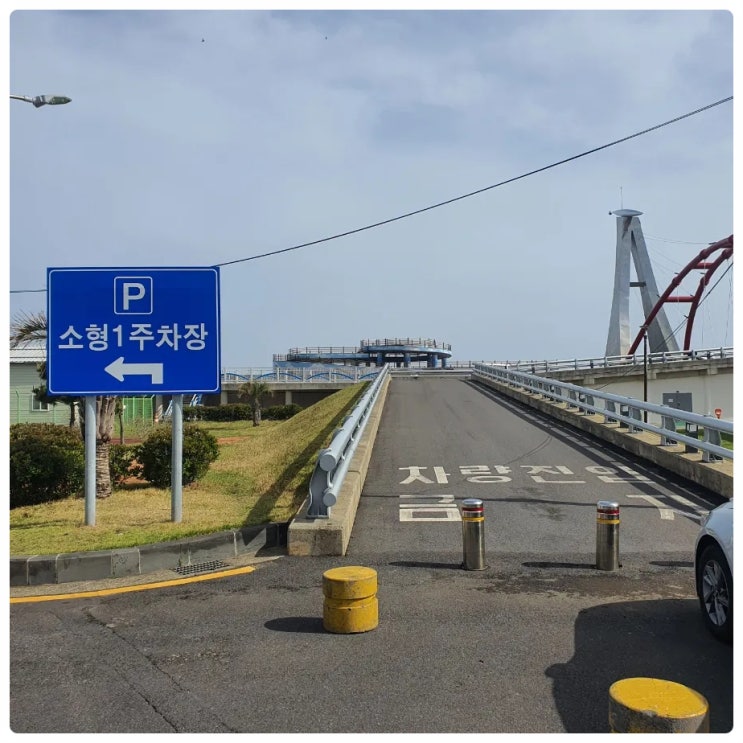  배 안 타고 제주도 낚시체험할 수 있는 제주 신흥바다낚시공원 만 있는 거는 아니잖아!  동부방파제