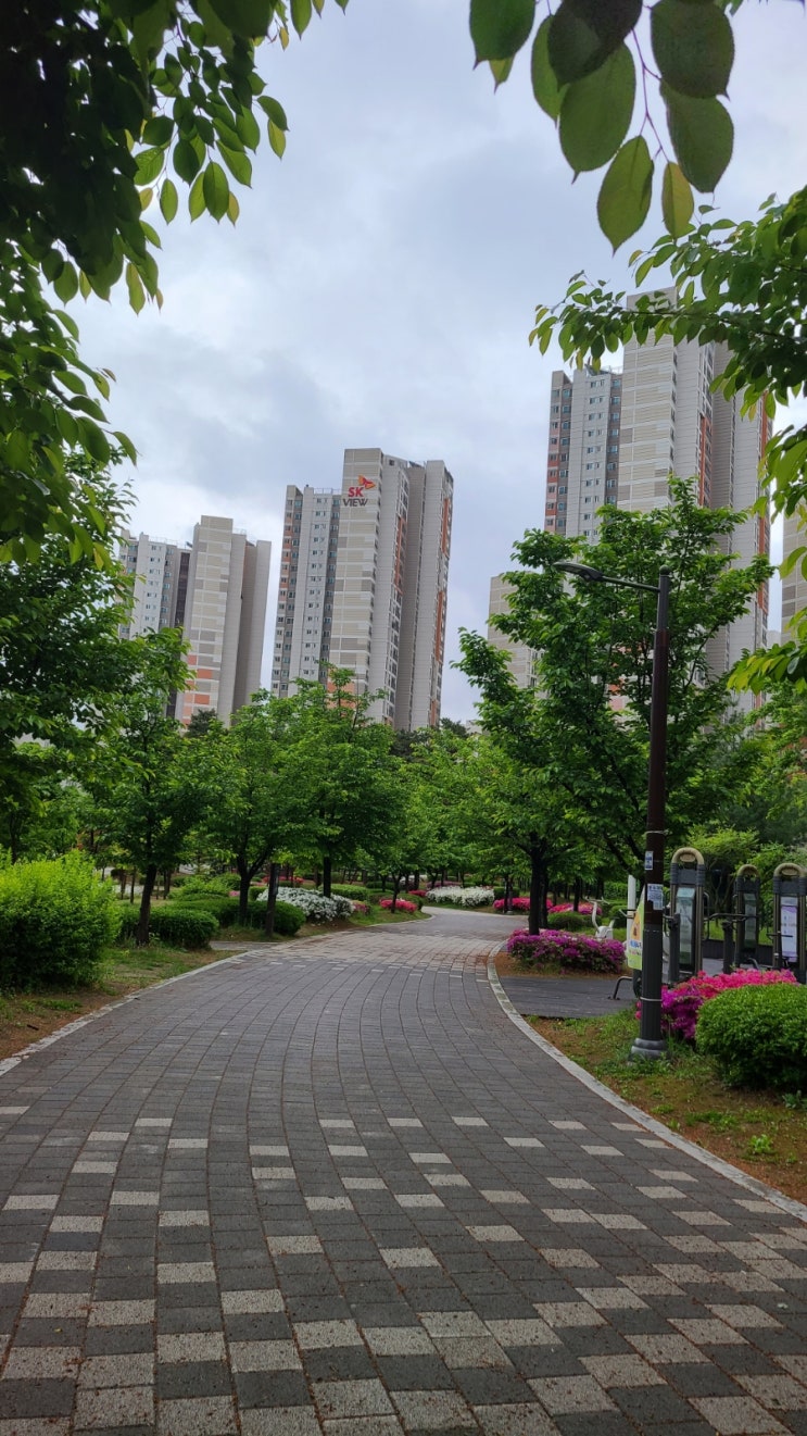  5월 챌린지 서약서