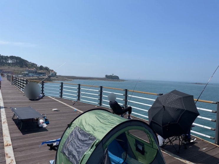  홍원항 쭈꾸미 샤브샤브와 감성돔 쥐치 더원 너뱅이 횟집